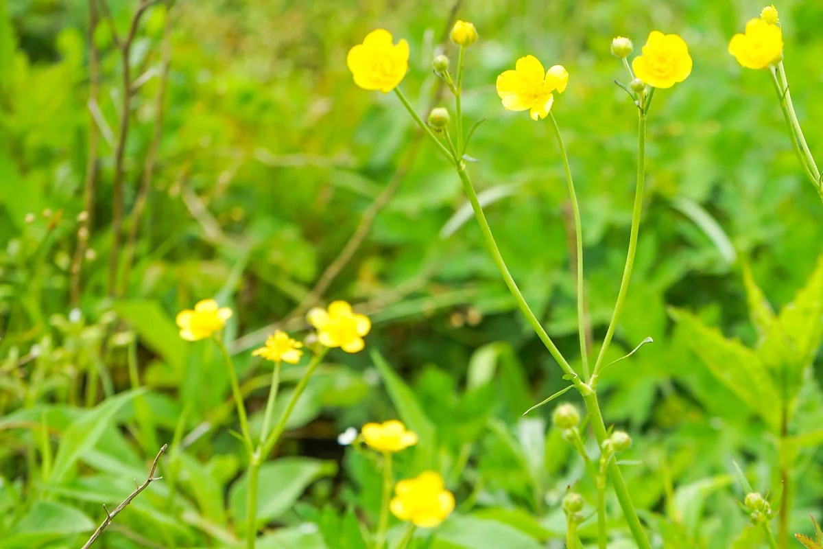 4._%EB%AF%B8%EB%82%98%EB%A6%AC%EC%95%84%EC%9E%AC%EB%B9%84.JPG?type=w1200