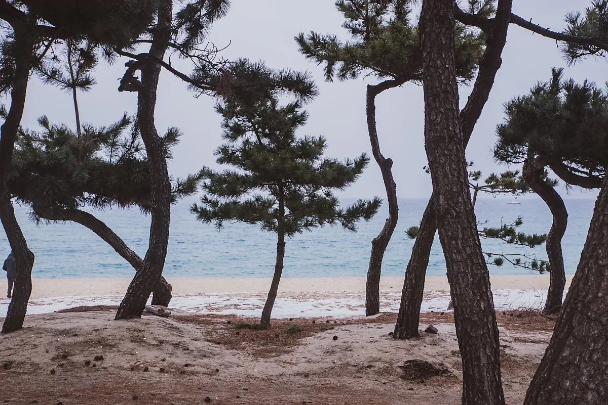 %EC%95%88%EB%AA%A9%ED%95%B4%EB%B3%80_003.jpg?type=w1200