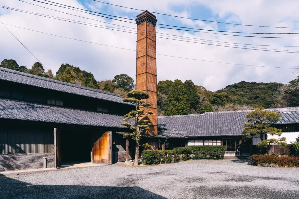 20250115-DSC04964.jpg?type=w966