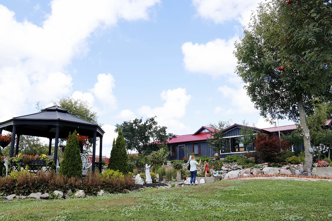 7-1.Domain Darius.JPG