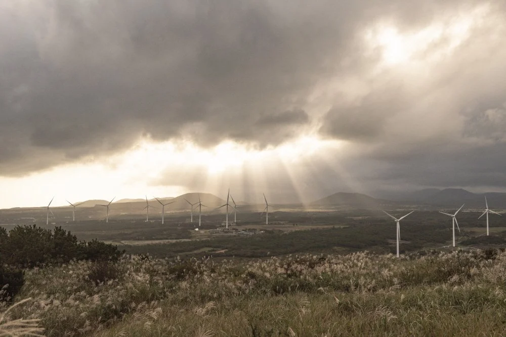 %ED%81%AC%EA%B8%B0%EB%B3%80%ED%99%98%EB%94%B0%EB%9D%BC%EB%B9%84%EC%98%A4%EB%A6%84_%282%29.jpg?type=w1200