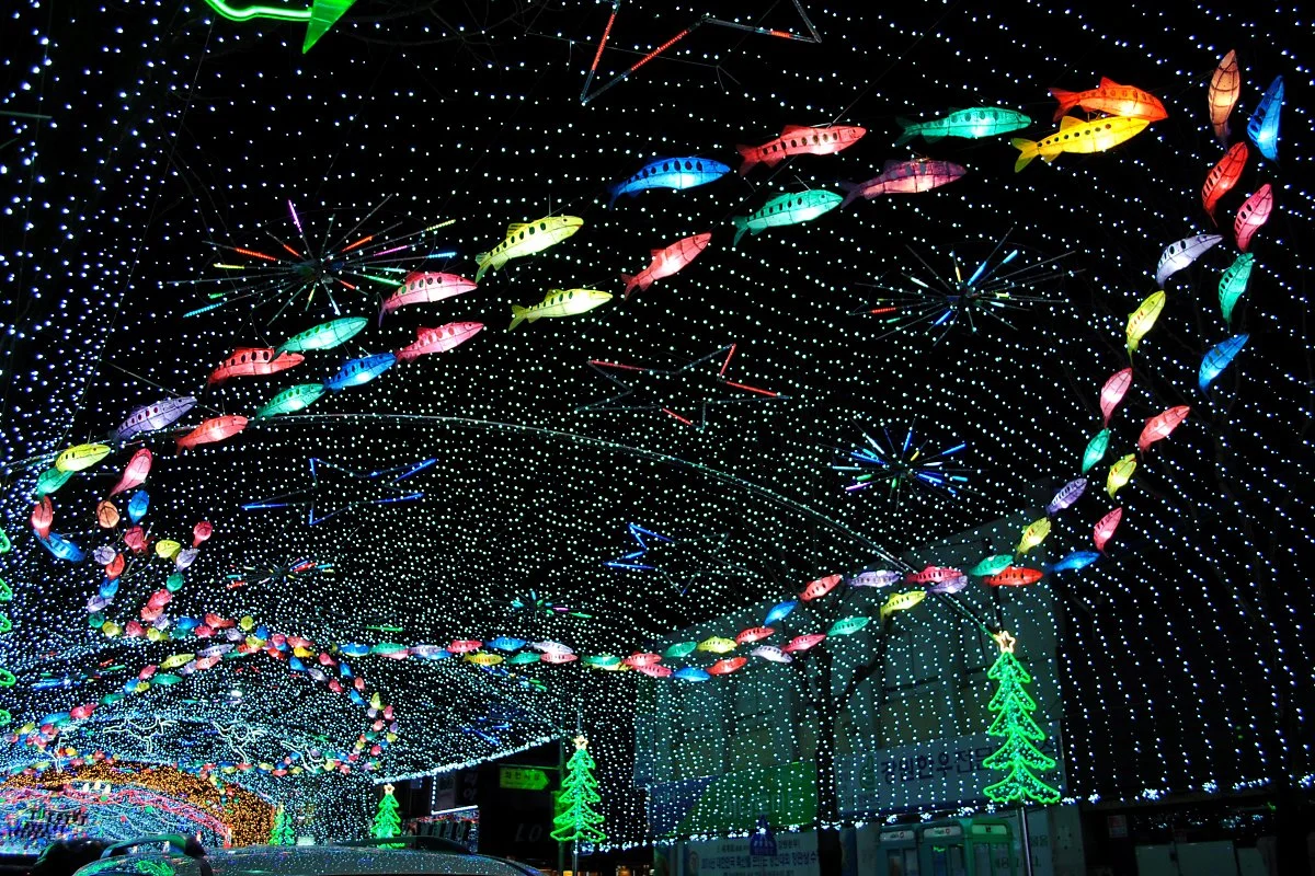 %ED%99%94%EC%B2%9C%EC%82%B0%EC%B2%9C%EC%96%B4%EC%B6%95%EC%A0%9C_%2812%29.JPG?type=w1200