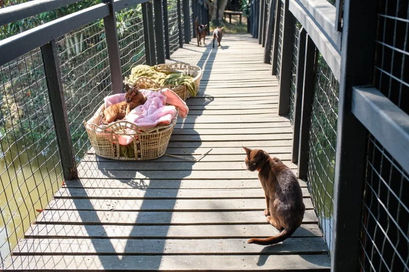 %ED%81%AC%EA%B8%B0%EB%B3%80%ED%99%98Inle_Heritage_DSF0140.jpg?type=w1200