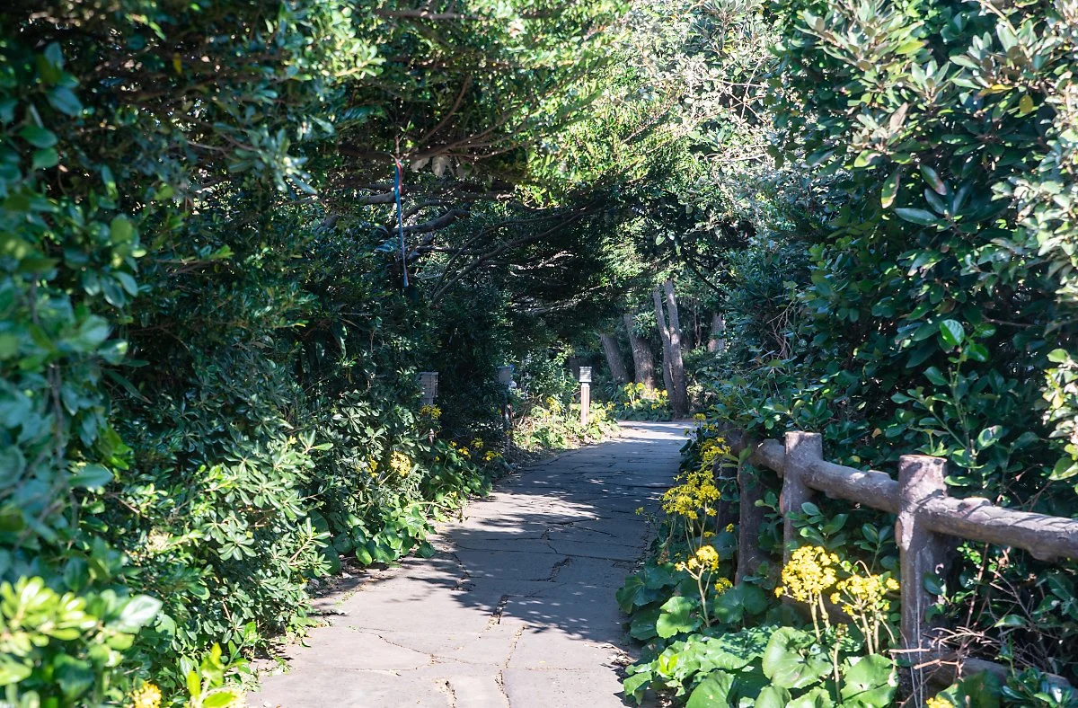 %ED%81%B0%EC%97%89%ED%95%B4%EC%95%88%EA%B2%BD%EC%8A%B9%EC%A7%80_002.jpg?type=w1200