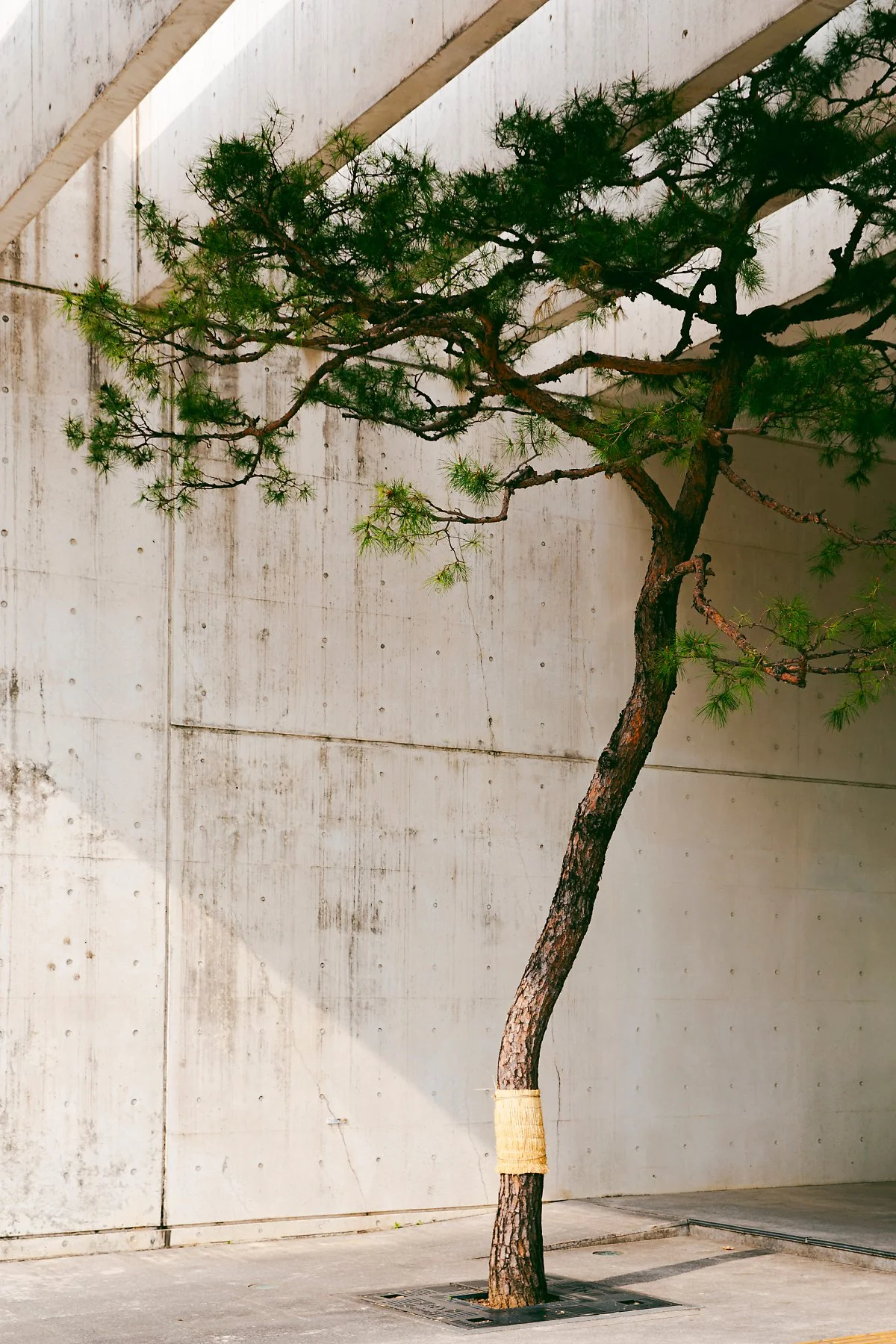 %EF%80%88d_%EC%9D%B4%EC%9D%91%EB%85%B8%EB%AF%B8%EC%88%A0%EA%B4%80_1.jpg?type=w1200