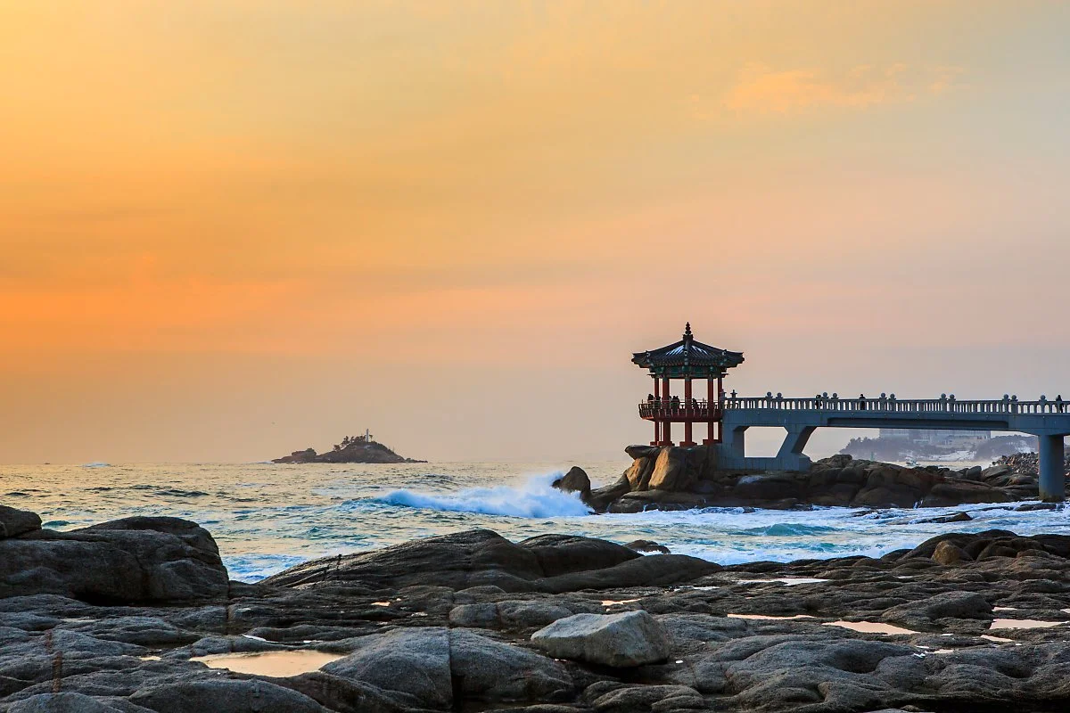 %EC%98%81%EA%B8%88%EC%A0%95%EC%9D%BC%EC%B6%9C_%EC%A0%95%EC%9D%80%EC%A3%BC_%282%29.jpg?type=w1200