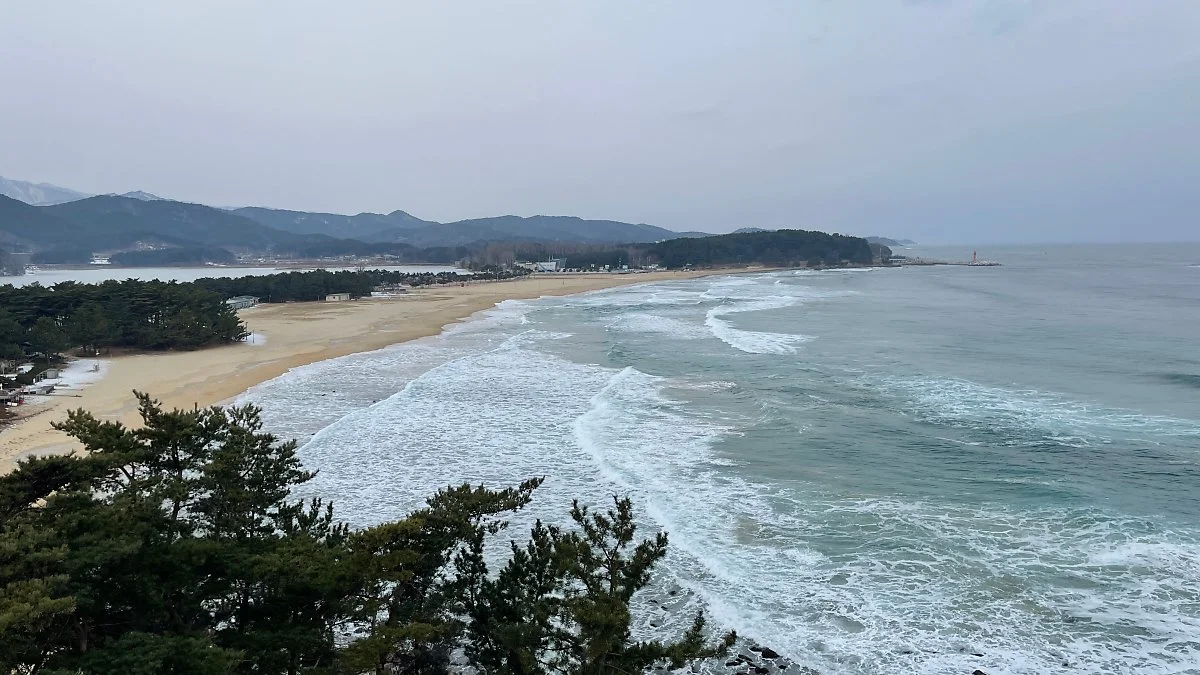 %ED%99%94%EC%A7%84%ED%8F%AC%EC%9D%98%EC%84%B1_%EC%A0%95%EC%9D%80%EC%A3%BC_%281%29.jpg?type=w1200