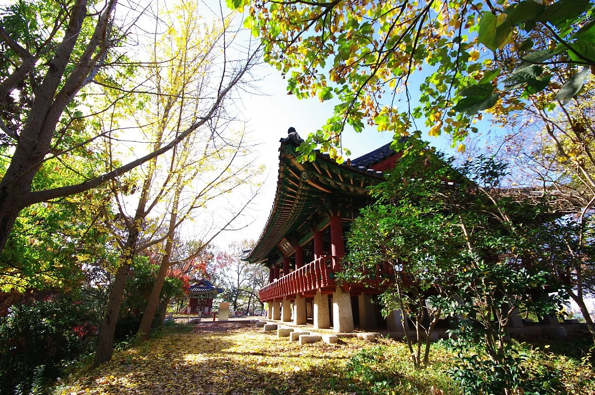 %EC%98%A4%EB%AA%A9%EB%8C%80.JPG?type=w1200