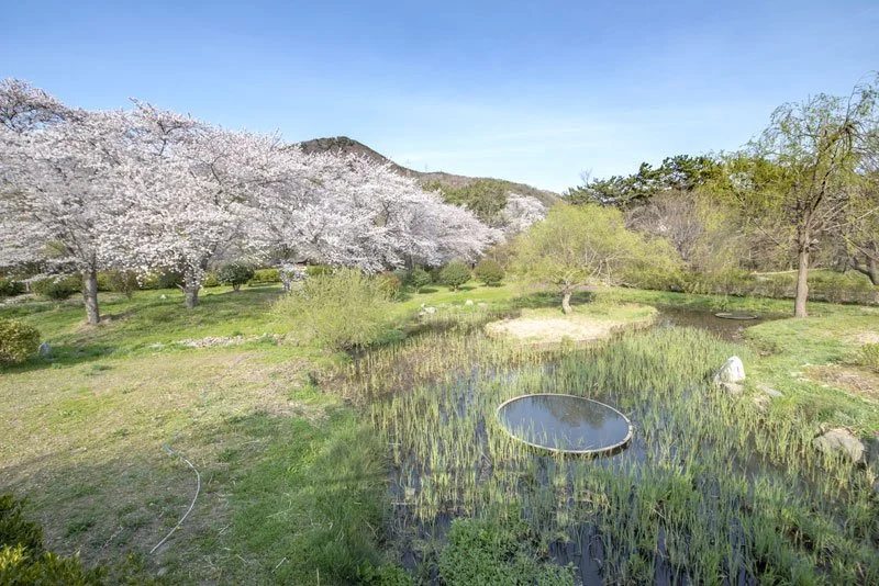 %EC%A7%84%ED%95%B4%EB%82%B4%EC%88%98%EB%A9%B4%EC%83%9D%ED%83%9C%EA%B4%80%EA%B4%91%EA%B3%B5%EC%9B%90-%284%29.jpg?type=w1200