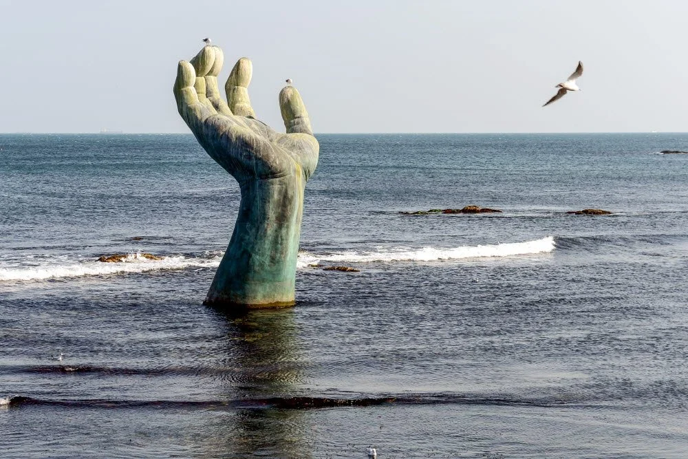 %ED%8F%AC%ED%95%AD-2.jpg?type=w1200