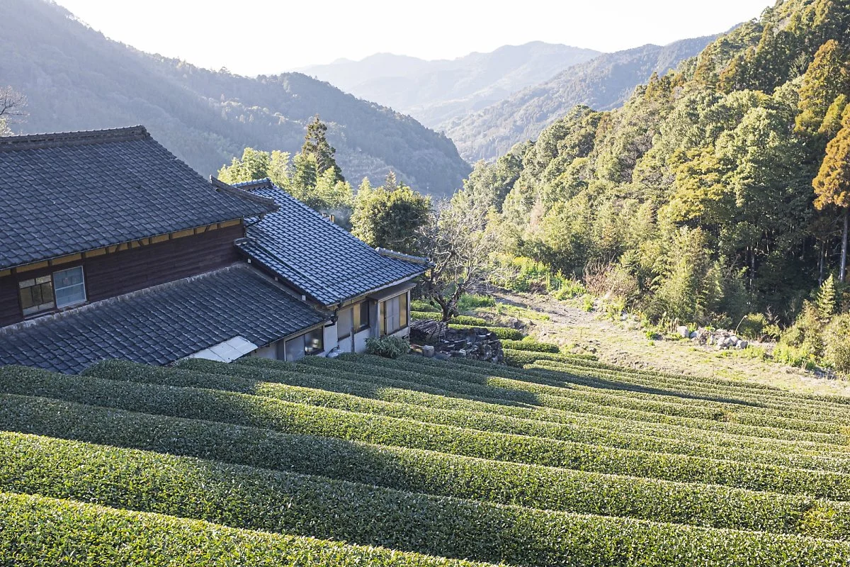 DSCF6573.jpg?type=w1200