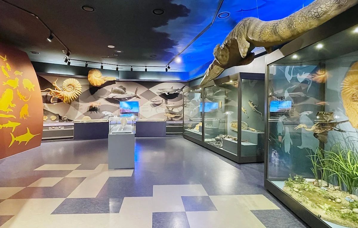 %EA%B0%95%ED%99%94%EC%9E%90%EC%97%B0%EC%82%AC%EB%B0%95%EB%AC%BC%EA%B4%80_%289%29.JPG?type=w1200