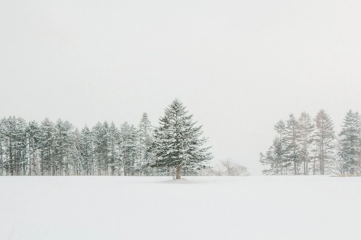 %ED%99%8B%EC%B9%B4%EC%9D%B4%EB%8F%84_%2813%29.jpg?type=w1200