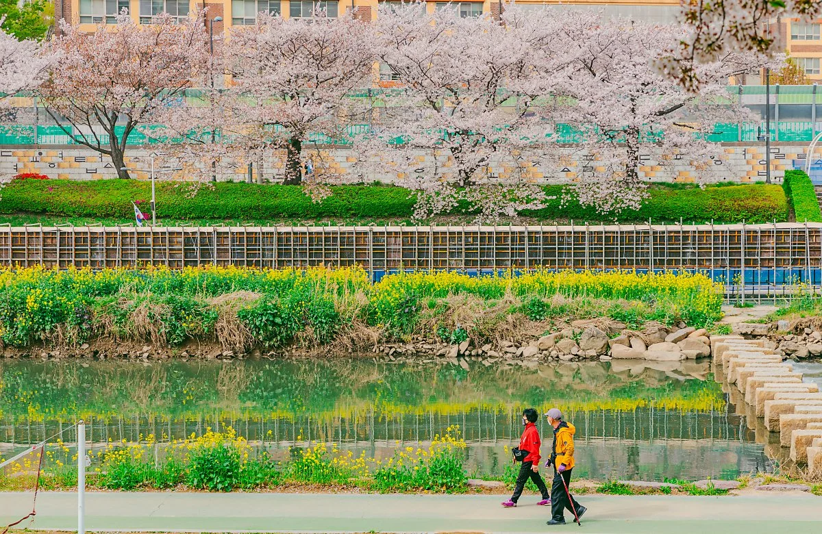 d_%EC%98%A8%EC%B2%9C%EC%B2%9C%EC%8B%9C%EB%AF%BC%EA%B3%B5%EC%9B%90_1.jpg?type=w1200