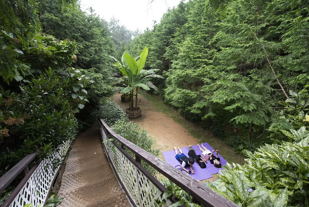 11-2_%ED%86%B5%EC%98%81%EB%82%98%ED%8F%B4%EB%A6%AC%EB%86%8D%EC%9B%90.jpg?type=w1200