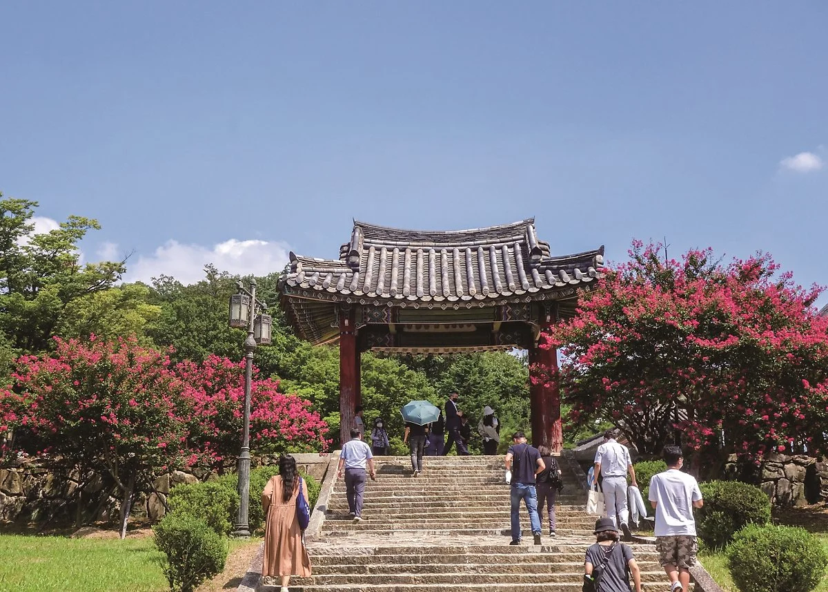 %EC%98%81%EB%82%A8%EB%A3%A8_%EC%9D%BC%EC%A3%BC%EB%AC%B8.jpg?type=w1200