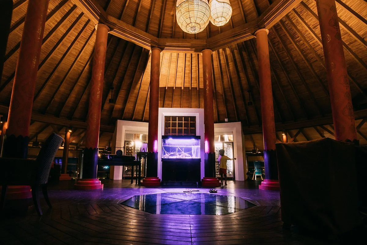 %EB%AA%B0%EB%94%94%EB%B8%8C_%EC%95%84%EB%82%9C%ED%83%80%EB%9D%BC_-64.jpg?type=w1200