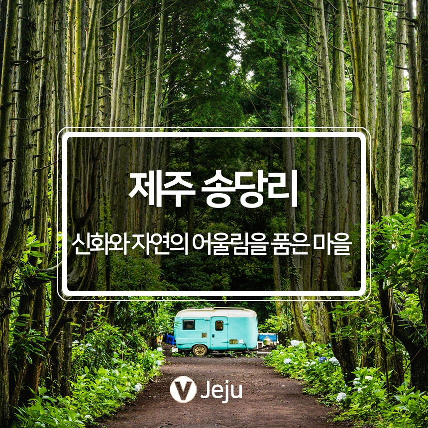 %EC%A0%9C%EC%A3%BC%EC%86%A1%EB%8B%B9%EB%A6%AC.jpg?type=w966