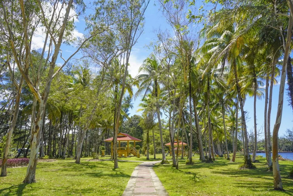 %EC%95%88%EB%91%90%ED%82%A4%ED%98%B8%EC%88%98.JPG?type=w1200