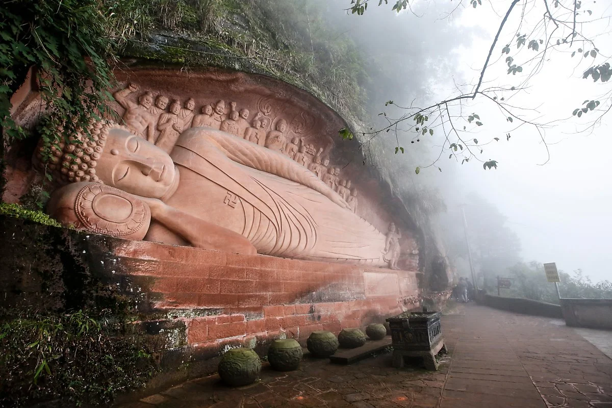 14_%EC%B4%89%EB%82%A8%EC%A3%BD%ED%95%B4_%EC%B2%9C%EB%B3%B4%EC%B1%84_MG_1396.jpg?type=w1200