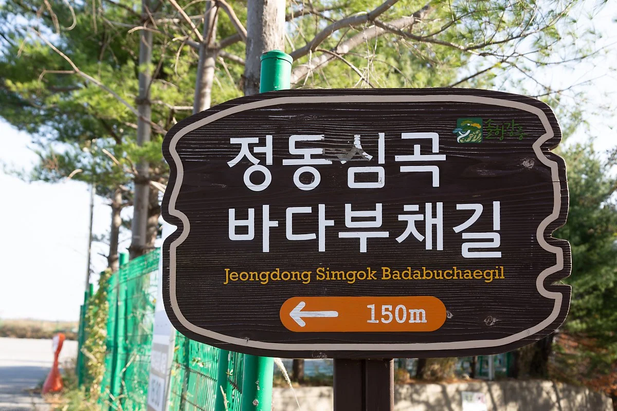 %EC%9D%B4%EC%A0%95%ED%91%9C_%282%29.jpg?type=w1200