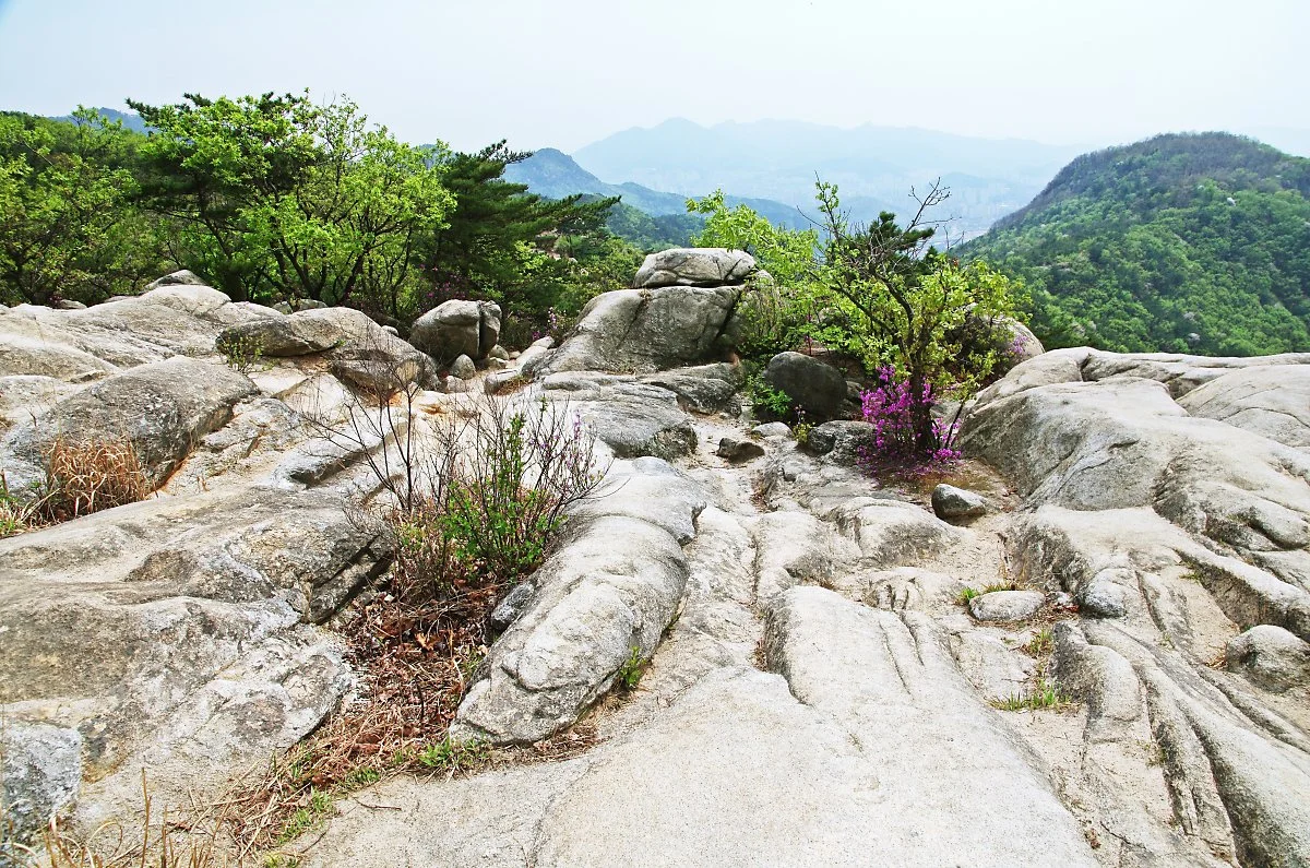 %ED%98%B8%EC%95%94%EC%82%B0._%EC%A0%84%EB%A7%9D_%EC%A2%8B%EC%9D%80_%EB%84%88%EB%9F%AD%EB%B0%94%EC%9C%84_%EC%9D%BC%EB%B6%80.JPG?type=w1200