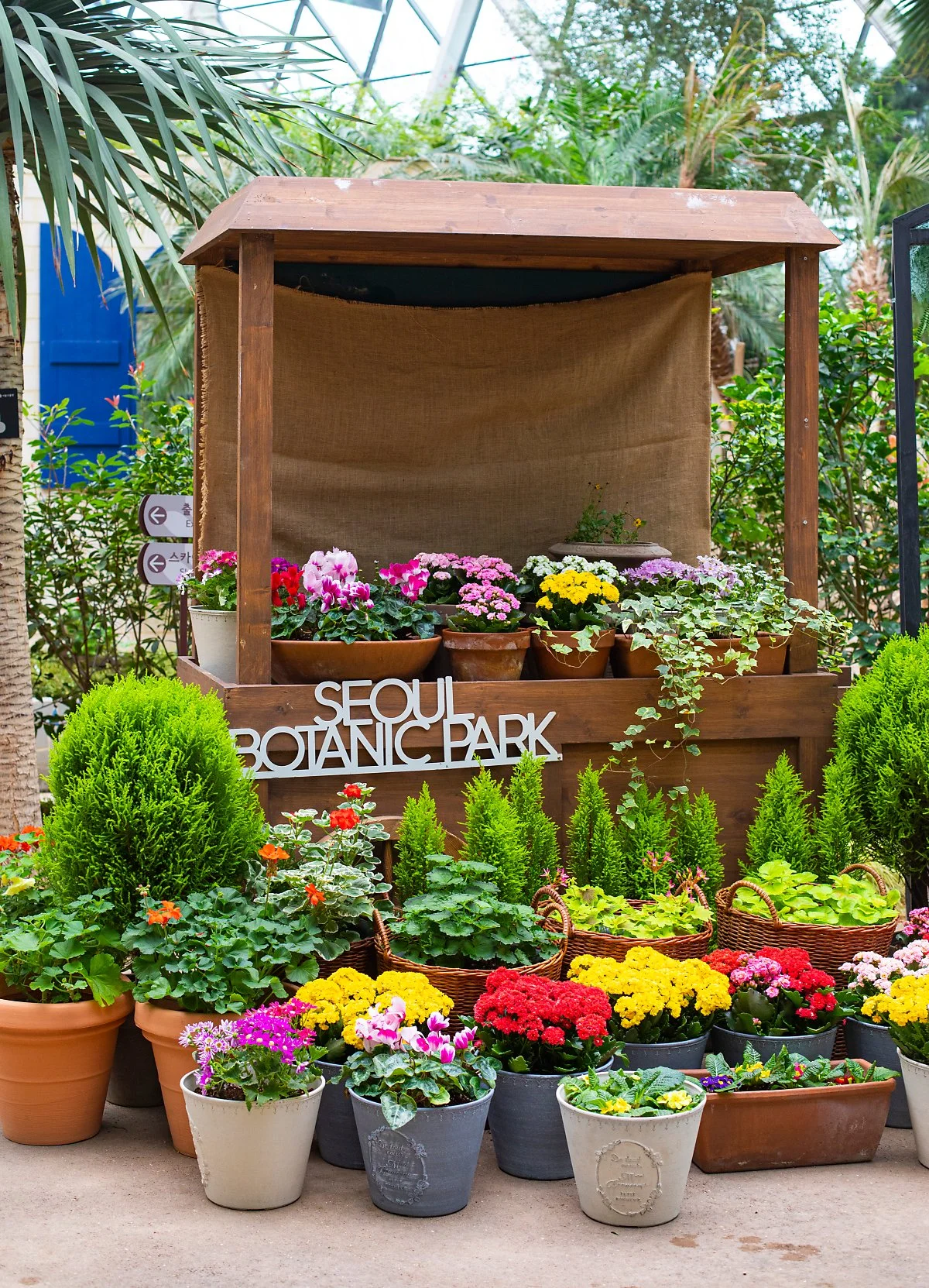 d_%EC%84%9C%EC%9A%B8%EC%8B%9D%EB%AC%BC%EC%9B%90_2.jpg?type=w1200