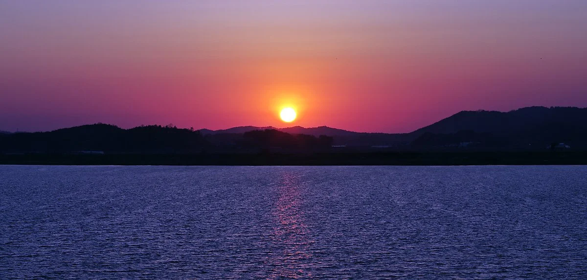 %EA%B3%B0%EA%B0%9C%EB%82%98%EB%A3%A8_%EC%9D%BC%EB%AA%B0._%EA%B0%95_%EA%B1%B4%EB%84%88%ED%8E%B8%EC%9D%B4_%EC%B6%A9%EB%82%A8_%EC%84%9C%EC%B2%9C_%EC%8B%A0%EC%84%B1%EB%A6%AC_%EA%B0%88%EB%8C%80%EB%B0%AD%EC%9D%B4%EB%8B%A4..JPG?type=w1200