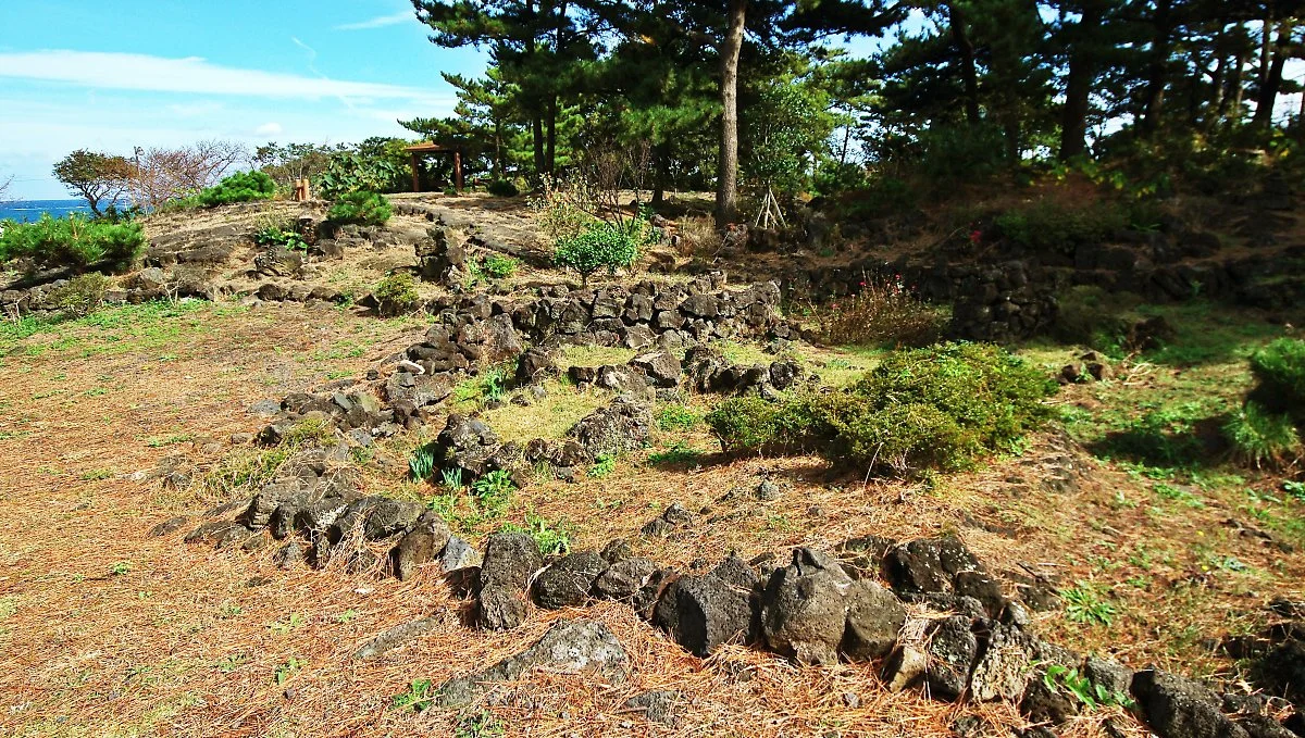 11._%EB%84%88%EB%B8%90%EC%88%AD%EC%9D%B4_4.3%EA%B8%B0%EB%85%90%EA%B4%80_%EC%A3%BC%EB%B3%80%EC%97%90_%EC%9E%88%EB%8A%94_%EC%95%A0%EA%B8%B0%EB%AC%B4%EB%8D%A4.JPG?type=w1200