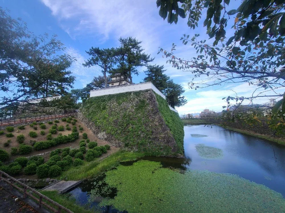 %EC%8B%9C%EB%A7%88%EB%B0%94%EB%9D%BC%EC%84%B1.jpg?type=w1200