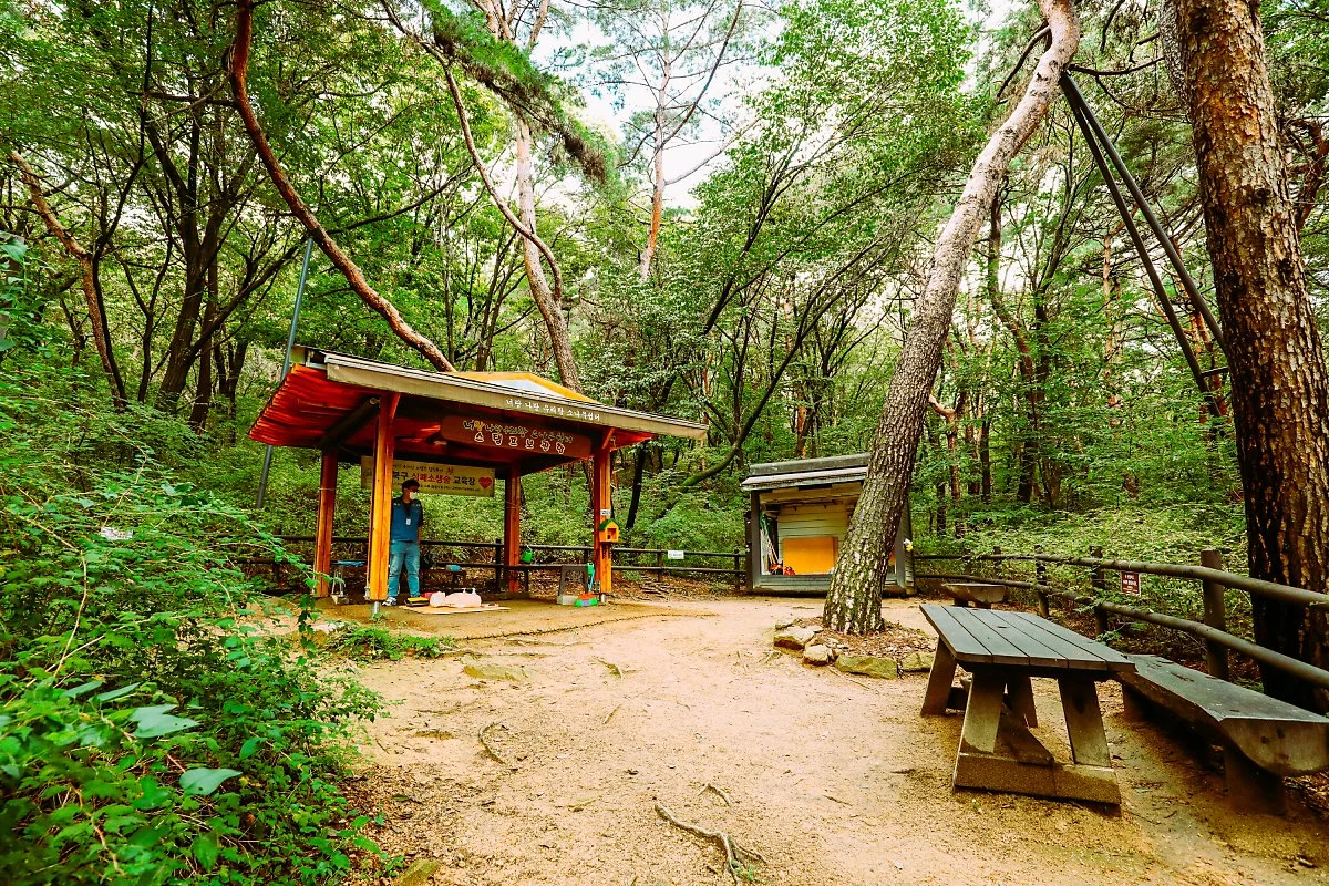 %EC%86%8C%EB%82%98%EB%AC%B4%EC%89%BC%ED%84%B0_%282%29.JPG?type=w1200