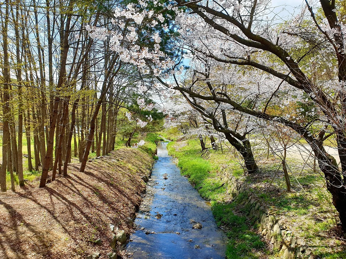 01%ED%8C%8C%EC%A3%BC%EC%82%BC%EB%A6%89_%283%29.jpg?type=w1200