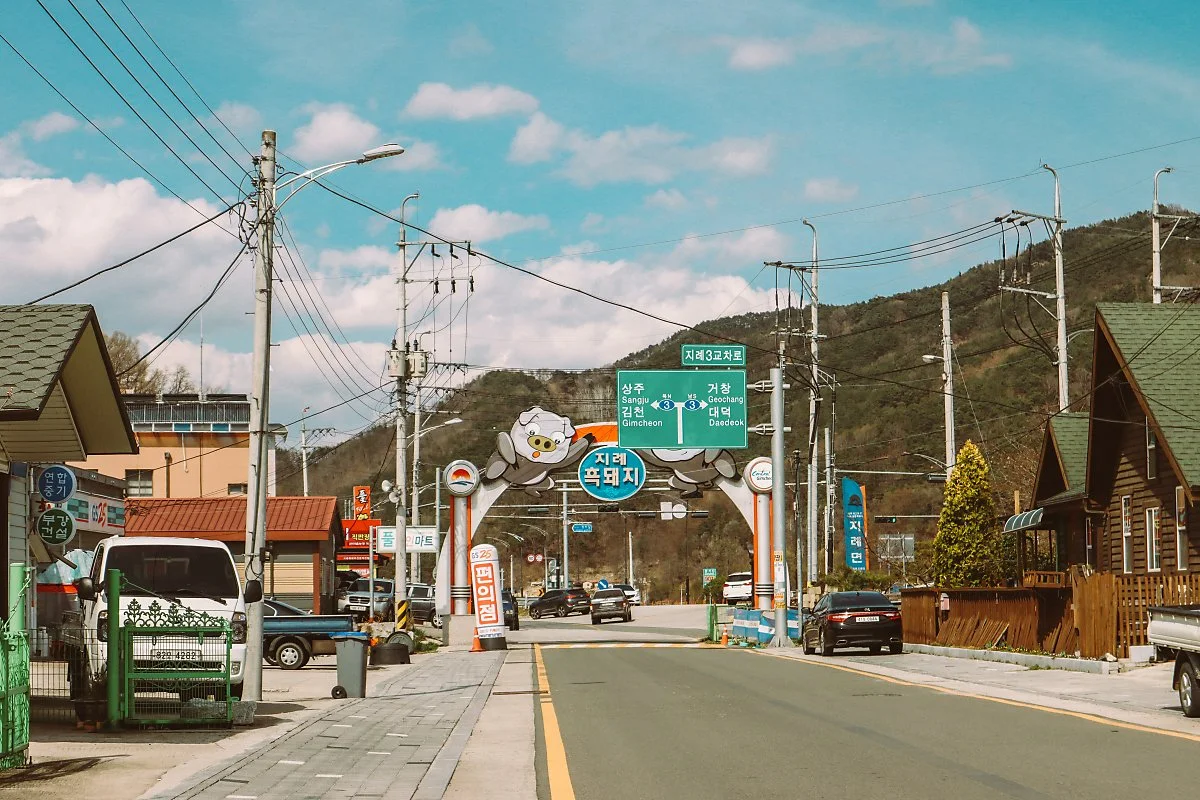 %EA%B9%80%EC%B2%9C_%EA%BD%83%EC%9D%84_%EC%B0%BE%EC%95%84%EC%84%9C__%2814_-_35%29.JPG?type=w1200