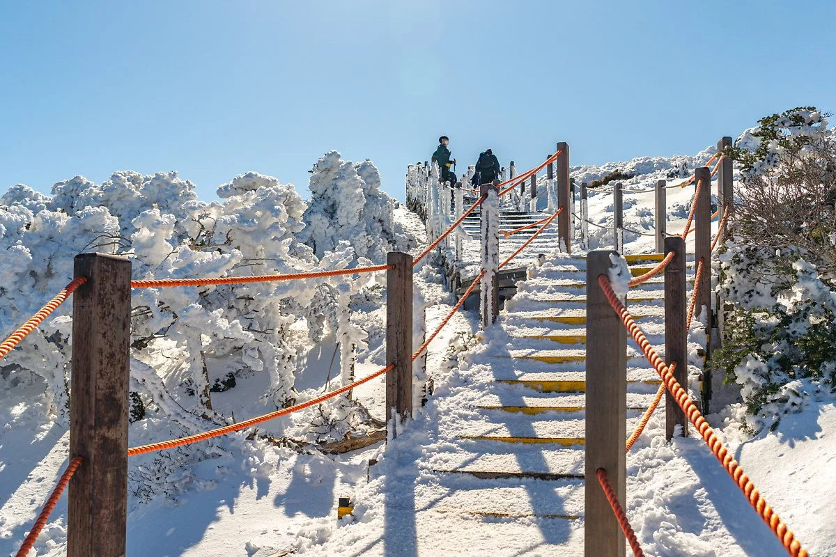 %ED%95%9C%EB%9D%BC%EC%82%B0_%EB%B0%B1%EB%A1%9D%EB%8B%B4_00001.jpg?type=w1200