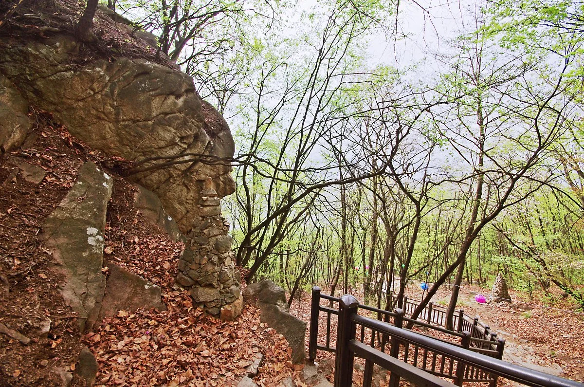 %ED%98%B8%EC%95%94%EC%82%B0._%EB%B6%88%EC%98%81%EC%82%AC%EB%A5%BC_%EC%A7%80%EB%82%98_%EB%82%B4%EB%A0%A4%EA%B0%80%EB%8A%94_%EC%88%B2%EA%B8%B8..JPG?type=w1200