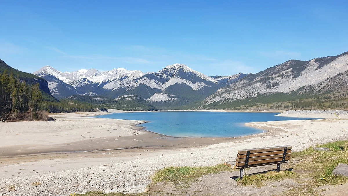 %EC%B9%B4%EB%82%98%EB%82%98%EC%8A%A4%ED%82%A4%EC%8A%A4_%EB%B2%A0%EB%A6%AC%EC%97%90_%EB%A0%88%EC%9D%B4%ED%81%AC_1.jpg?type=w1200