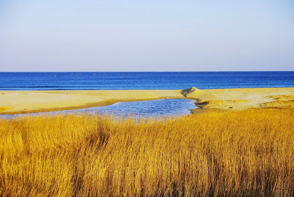 %EA%B3%A0%EB%9E%98%EB%B6%88%ED%95%B4%EB%B3%80._%EA%B0%88%EB%8C%80%EC%99%80_%EB%AA%A8%EB%9E%98%2C_%EB%B0%94%EB%8B%A4%EA%B0%80_%EC%96%B4%EC%9A%B8%EB%A6%B0_%ED%92%8D%EA%B2%BD._%EC%98%A4%ED%9B%84_%ED%96%87%EB%B3%95%EC%9D%B4%EB%9D%BC_%EC%83%89%EC%98%A8.JPG?type=w1200