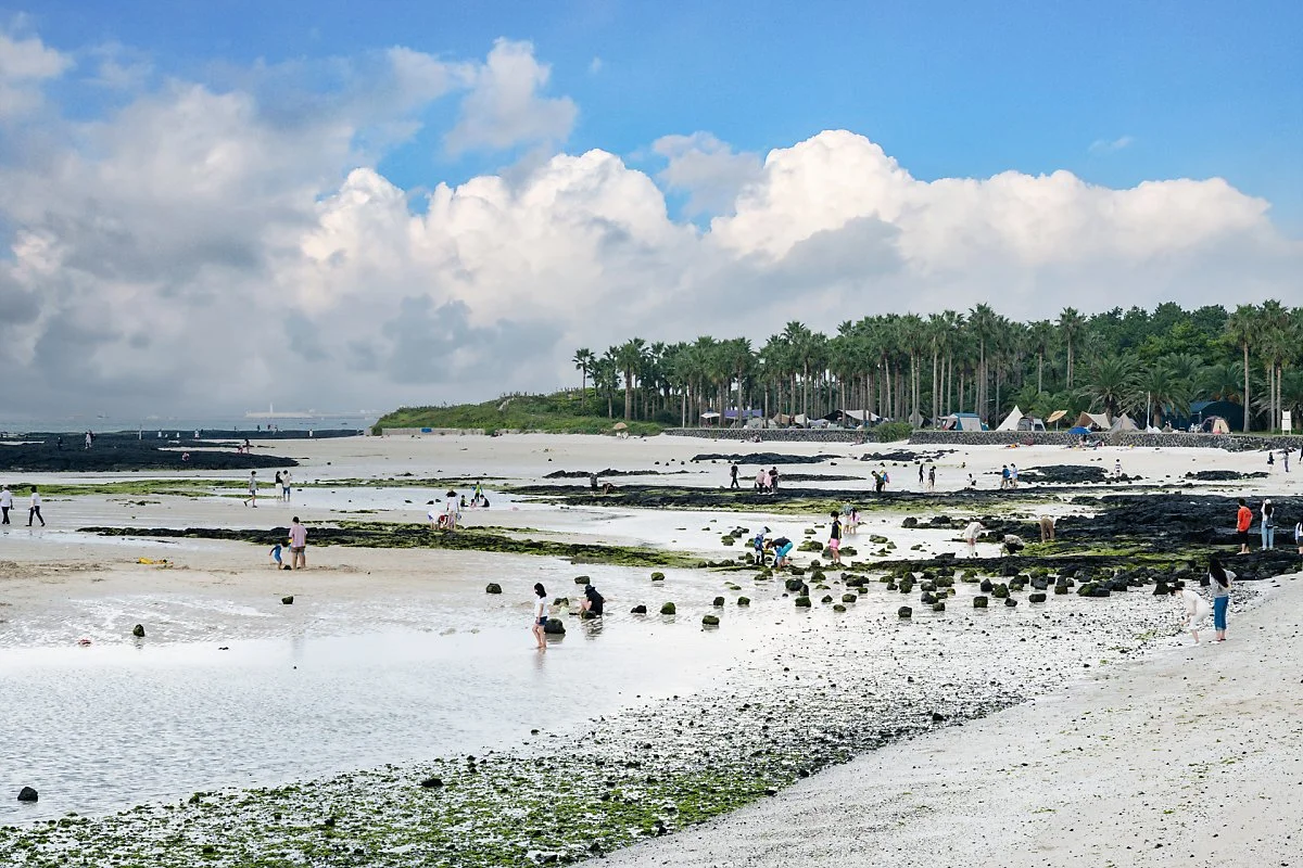 %EC%A0%9C%EC%A3%BC_%EA%B8%88%EB%8A%A5%ED%95%B4%EB%B3%80_%285%29%EA%B8%88%EB%8A%A5%ED%95%B4%EB%B3%80_%EC%A0%95%EA%B2%BD.jpg?type=w1200