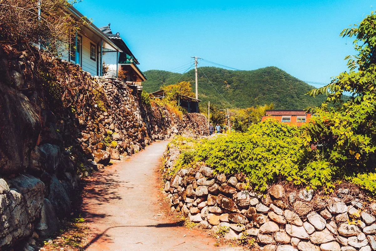 %ED%95%9C%EB%B0%A4%EB%A7%88%EC%9D%84_%EB%8F%8C%EB%8B%B4%EA%B8%B8_%289%29.jpg?type=w1200