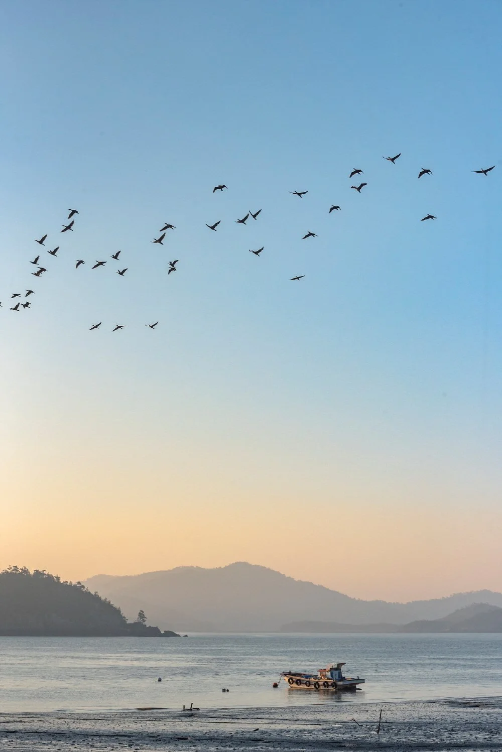 %EC%95%84%EC%B9%A8_%ED%92%8D%EA%B2%BD_%282%29.jpg?type=w1200