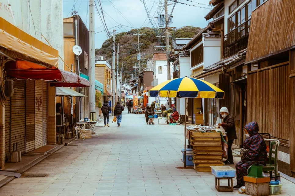 20250116-DSC05238.jpg?type=w966