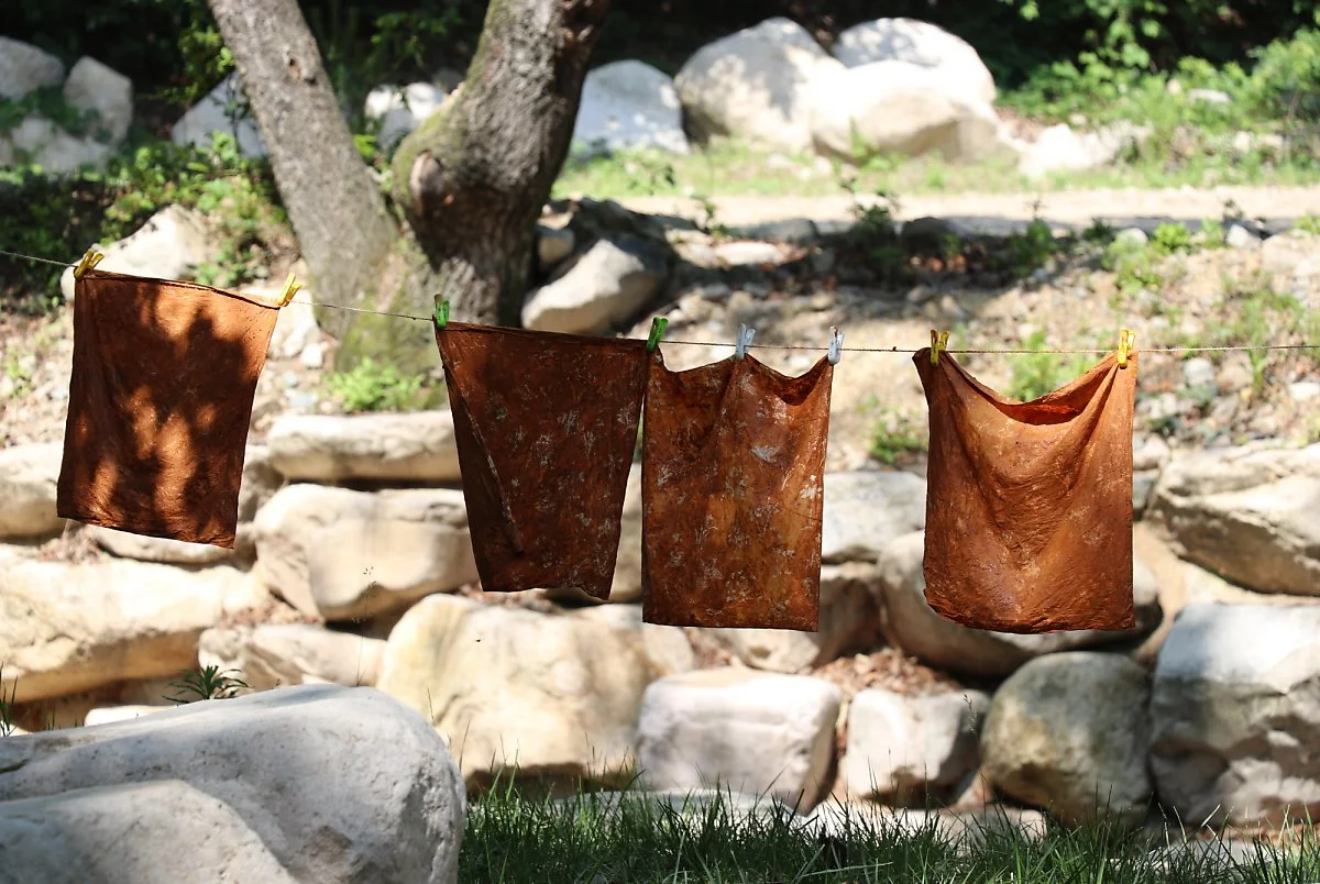 4-3_%EA%B5%AD%EB%A6%BD%EB%8C%80%EC%9A%B4%EC%82%B0%EC%B9%98%EC%9C%A0%EC%9D%98%EC%88%B2.JPG?type=w1200