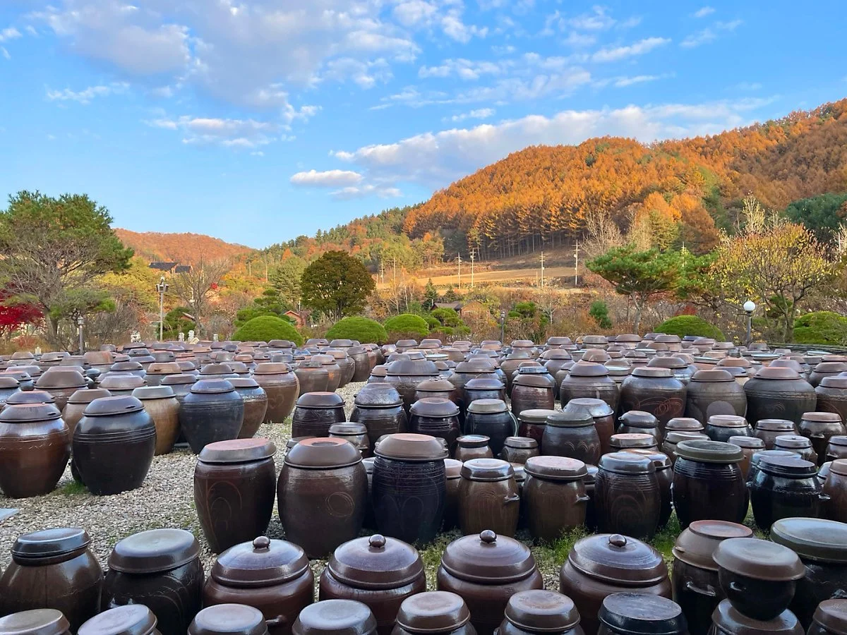 %EC%A0%95%EA%B0%95%EC%9B%90_%EC%9E%A5%EB%8F%85%EB%8C%802.jpg?type=w1200