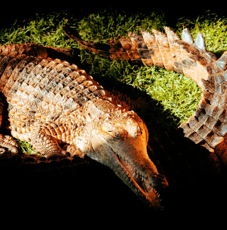 SE-201a6361-ae92-4313-a572-536b38a74d18.jpg?type=w966