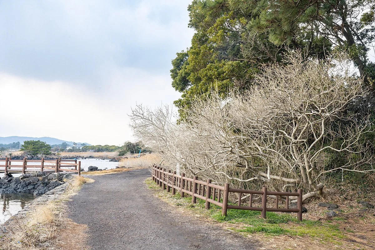 %EC%98%A4%EC%A1%B0%EB%A6%AC_%ED%99%A9%EA%B7%BC_%282%29.jpg?type=w1200