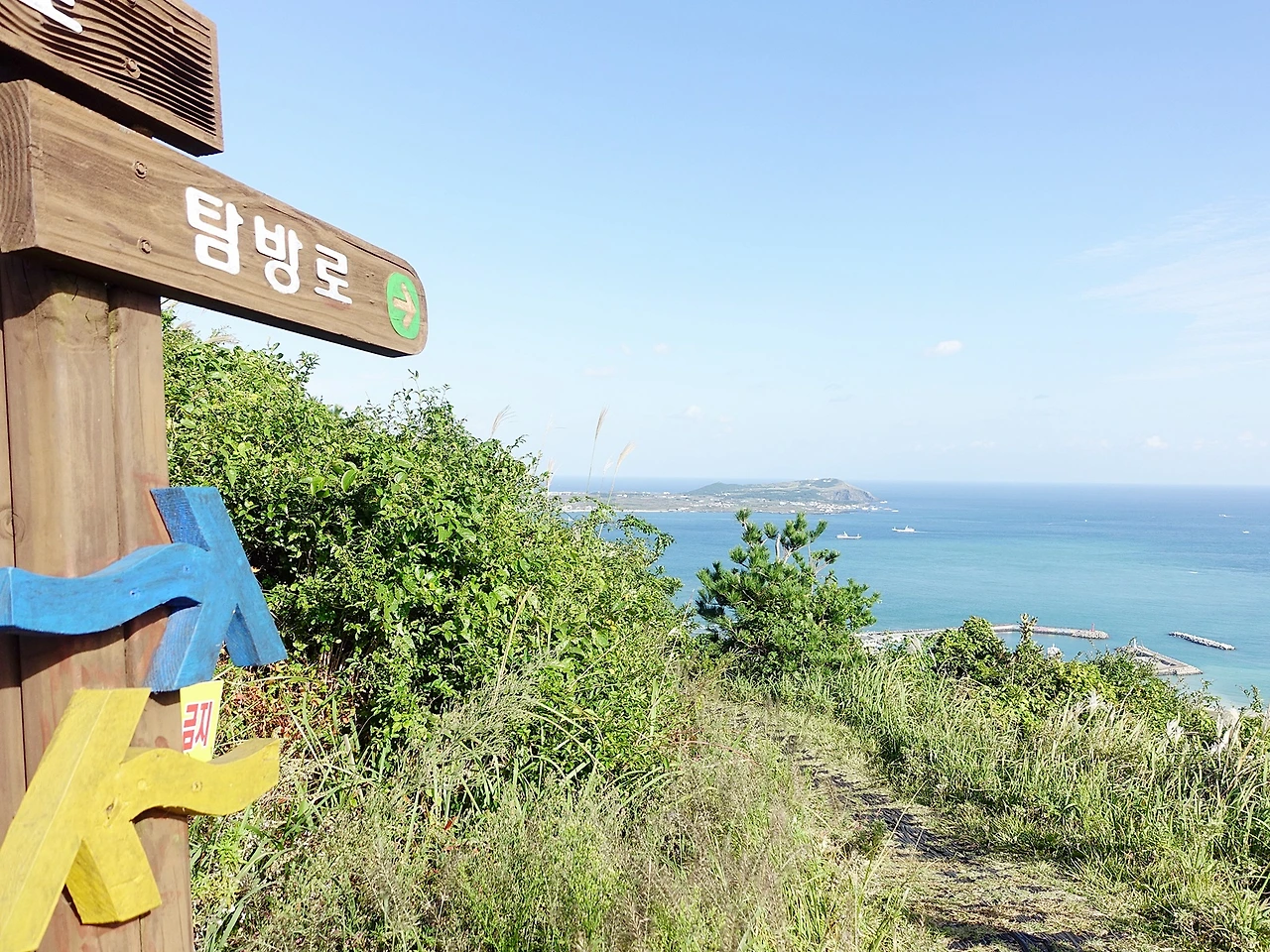 지미오름 (58).JPG