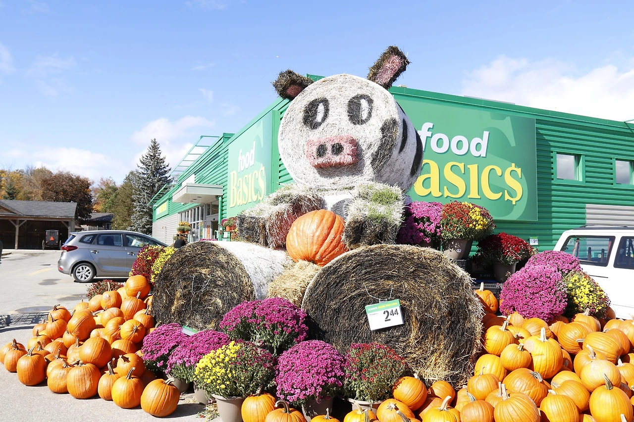 17.Elmira-Buggy parking.JPG