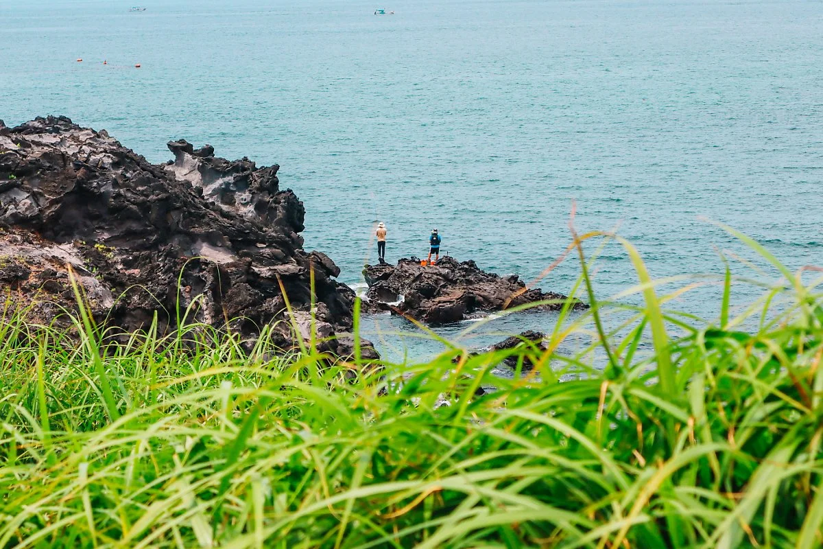 d_%EB%8B%AD%EB%A8%B8%EB%A5%B4_%ED%95%B4%EC%95%88%EA%B8%B8_3.JPG?type=w1200