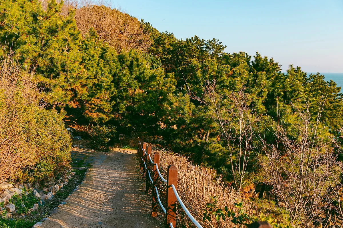 %EB%B6%80%EC%82%B0_%EB%8B%AC%EB%A7%9E%EC%9D%B4_%EA%B3%B0%EC%86%94_%EA%B5%B0%EB%9D%BD%EC%A7%80.jpg?type=w1200