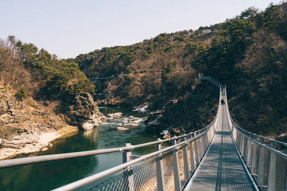 %EC%B2%A0%EC%9B%90_(11_-_11).jpg?type=w966